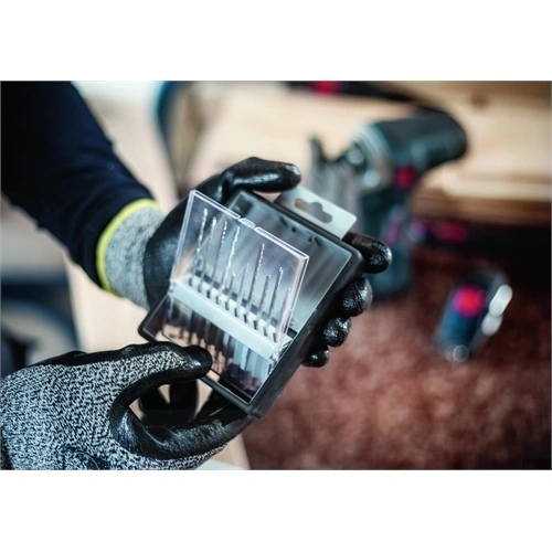 Bosch PRO Wood and Metal szúrófűrészlap készlet, 100 mm, 10 részes F276860